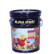 E Plus Shield